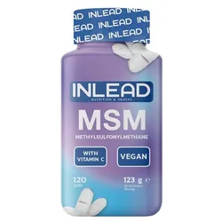 INLEAD MSM + Vitamins