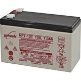 EnerSys Genesis NP7-12-WT Bleiakku 12V 7Ah Blei-Vlies (AGM) (B x H x T) 151 x 100 x 65mm Flachstecke