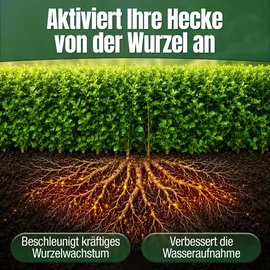 düngemeister Heckendünger für grüne Hecken 5 kg