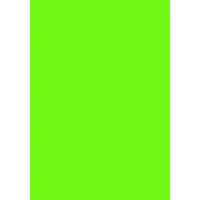 Maestro Bastelpapier maigrün, 120g/m2 50 Stück