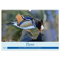 Calvendo Verlag GmbH Tiere die das Wasser zum Leben