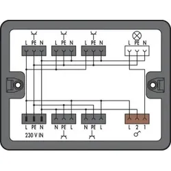 Wago 899-631/478-000 Verteilerbox, Ausschaltung, 1 Eingang, schwarz 899631478000