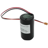 AccuCell Speicherbatterie 3,6V ersetzt Elster 73017964 - 13000 mAh