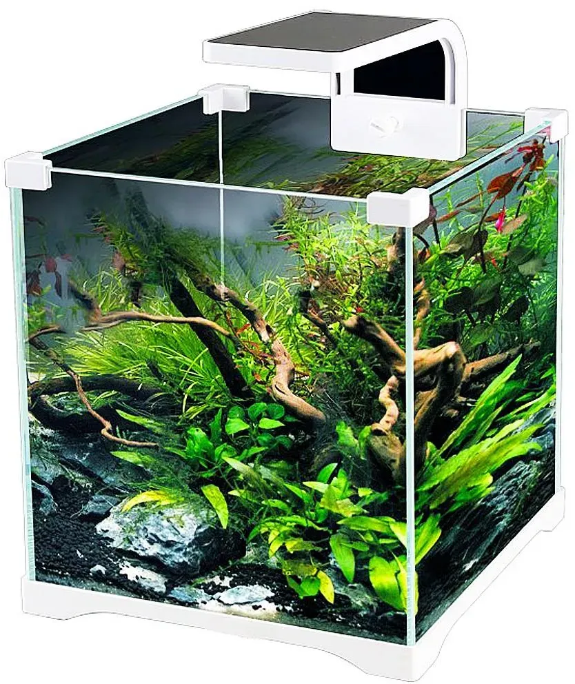 Sunsun O!-Led Aqua - 10L gebrauchsfertiges Aquarium-Set