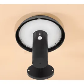 esotec Solar Sensor-Wandleuchte Sophia CCT außen wetterfest EDELSTAHL schwarz 102940 - Schwarz