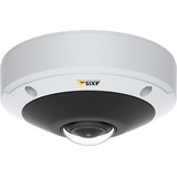 Axis M3058-PLVE LAN outdoor, 12 MP, 360°, PoE