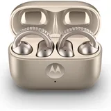 Motorola Moto Buds Loop - French Oak
