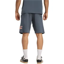 adidas FC Bayern München Shorts 2025/26 grau Herren Gr. XL