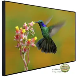 papermoon Infrarotheizung »EcoHeat - Kolibri Colibri Thalassinus«, Matt-Effekt - bunt