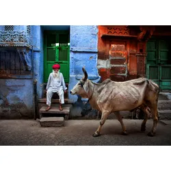 Fototapete PAPERMOON "Photo-Art FADHEL ALMUTAGHAWI, INDIEN", bunt, B:4,00m L:2,60m, Vlies, Tapeten