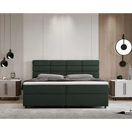 panda möbel Boxspringbett 180 x 200 cm Grün