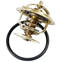 Wahler Thermostat, Kühlmittel
