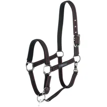 GOLEYGO Pferdehalfter für Goleygo-System, schwarz/fuchsia, Foal