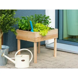 Hecht Hochbeet für Kinder 50 x 45 x 45 cm Beige