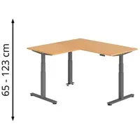 Hammerbacher XDSMW1608 elektrisch höhenverstellbarer Schreibtisch buche rechteckig, T-Fuß-Gestell grau