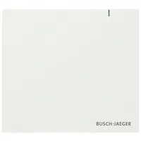 Busch-Jaeger SAP.13 System Access Point 3.0 2CKA006200A0868 SAP13