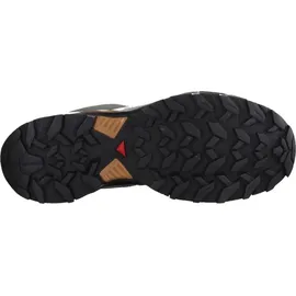 Salomon Herren X Ultra 360 LTR GTX Schuhe (Größe 43 , grau)