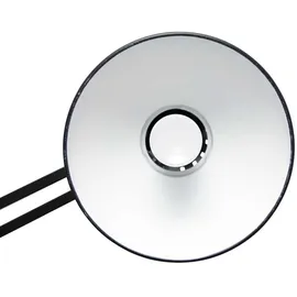 Maul MAULstudy (8201190)