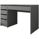 Mirjan24 Schreibtisch Anthrazit, 5 Schubladen, Rechteckig, 120x76x55 cm, Arbeitszimmer, Schreibtische, Bürotische