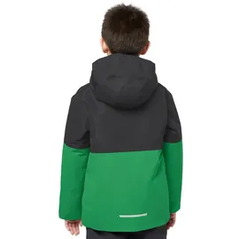 Jack Wolfskin Actamic Funktionsjacke Unisex Grün 116