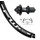 XLC Laufrad|Hinterrad 24x1.90 Zoll 6-Loch schwarz Schnellspanner 32-Loch Rodi FW Disc schwarz Nirosta-Speichen schwarz