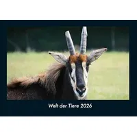 Vero Kalender Welt der Tiere 2026 Fotokalender DIN A4