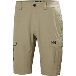 HELLY HANSEN Herren Shorts HH QD CARGO SHORTS 11, Größe 38 in Grau FALLEN ROCK