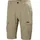 HELLY HANSEN Herren Shorts HH QD CARGO SHORTS 11, Größe 38 in Grau FALLEN ROCK