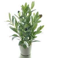 DPI Olivenbaum Mini im Steintopf 28 cm - Kunstpflanzen