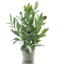 DPI Olivenbaum Mini im Steintopf 28 cm - Kunstpflanzen
