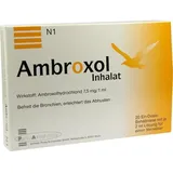 Penta Arzneimittel GmbH Ambroxol Inhalat