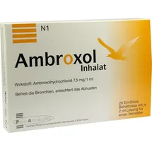 Penta Arzneimittel GmbH Ambroxol Inhalat