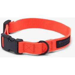 Hundehalsband 100 orange, orange, M