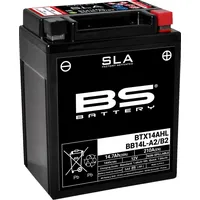 BS Battery 300759 BB14L-A2 AGM SLA Motorrad Batterie, Schwarz