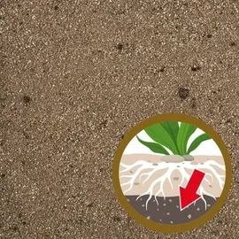 Tetra Complete Substrate 2,5 kg