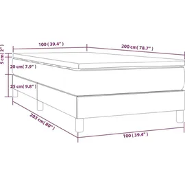 vidaXL Boxspringbett 100 x 200 cm Hellgrau
