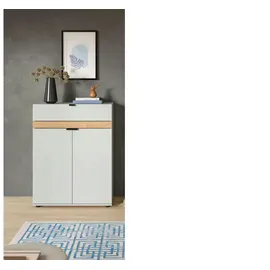 Möbel Kraft Schuhkommode 75 x 98 x 37 cm grau