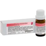 Dr.RECKEWEG & Co. GmbH Echinacea purpurea D6