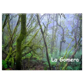 Calvendo La Gomera (Wandkalender 2026 DIN A3 quer), CALVENDO Monatskalender