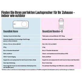 Bose SoundLink Home Helles Silber