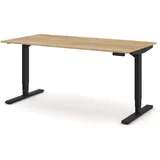 Assmann Electronic Schreibtisch Y-Line Eiche Natura / Schwarz