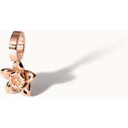 PURELEI Narzisse Geburtsblume Dezember Charm