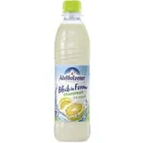 Adelholzener Bleib in Form Grapefruit MW-Pfand PET 12 x 0,5 Liter