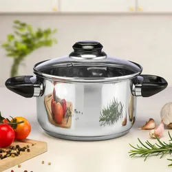Haushalt International Fleischtopf 1,5 L Kochtopf Bratentopf Induktion Ø 16 cm aus Edelstahl