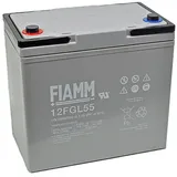 Fiam 12FGL55 12V 55000 mAh 1 St.