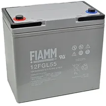 Fiam 12FGL55 12V 55000 mAh 1 St.