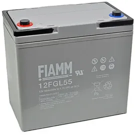 Fiam 12FGL55 12V 55000 mAh 1 St.