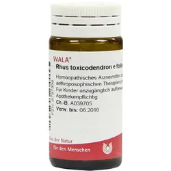RHUS Toxicodendron E foliis D 30 Globuli 20 g