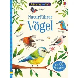 Usborne Naturführer: Vögel