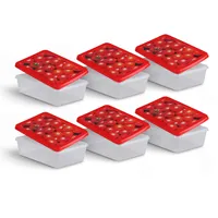Pro Home Frischhaltedosen für Lebensmittel 1,25 L ( 6er